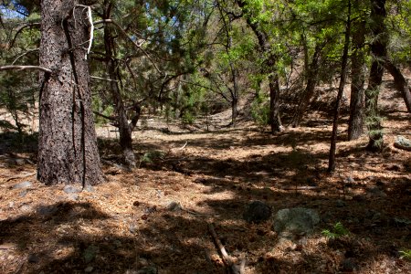 Chloride Creek photo