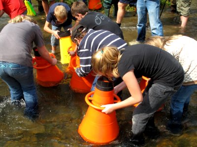 Mussel release outreach event