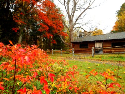 Historic cabin surrounded by fall foliage at Stewart B. McKinney NWR