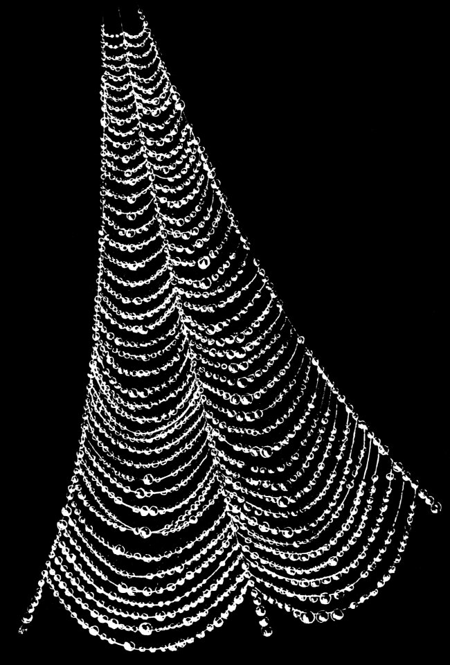 Water nature pattern