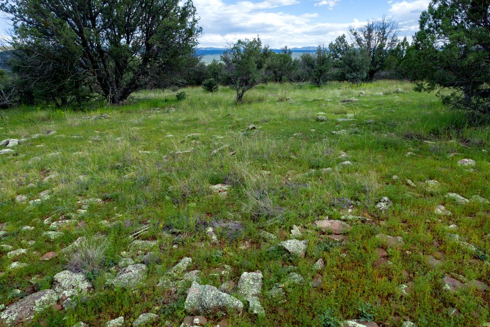 East of Kemp Mesa