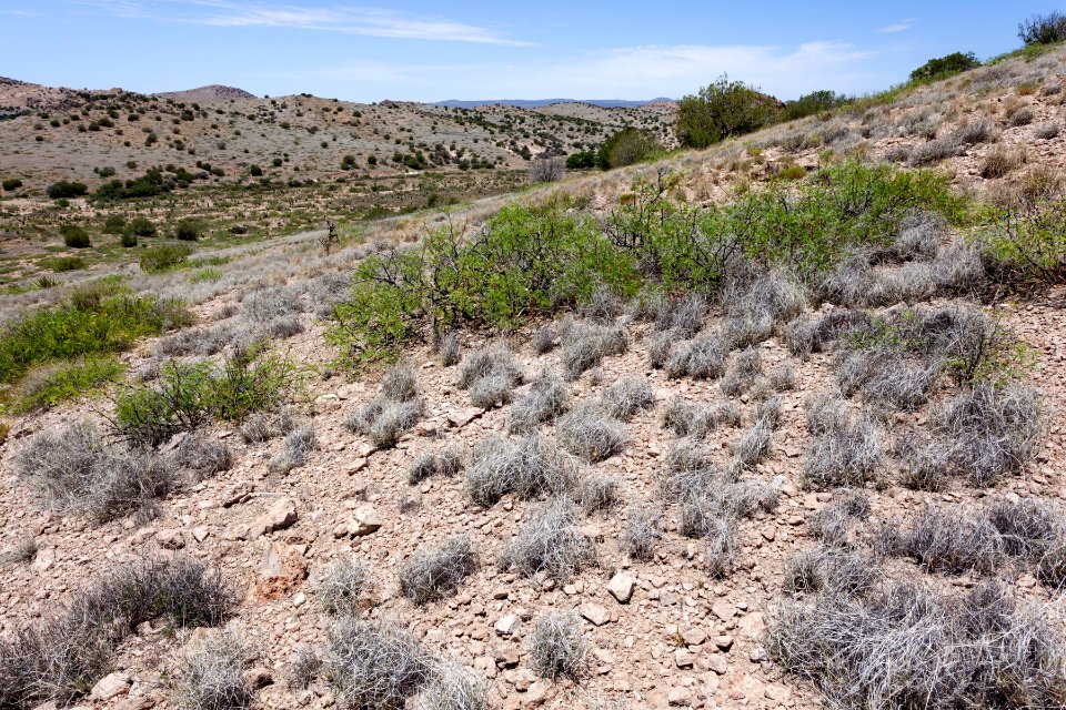 North-northeast of Soldiers Farewell Hill
