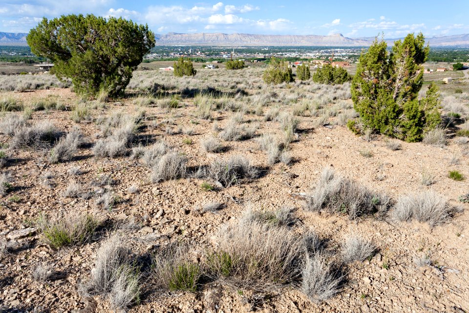 Southeast of No Thoroughfare Canyon