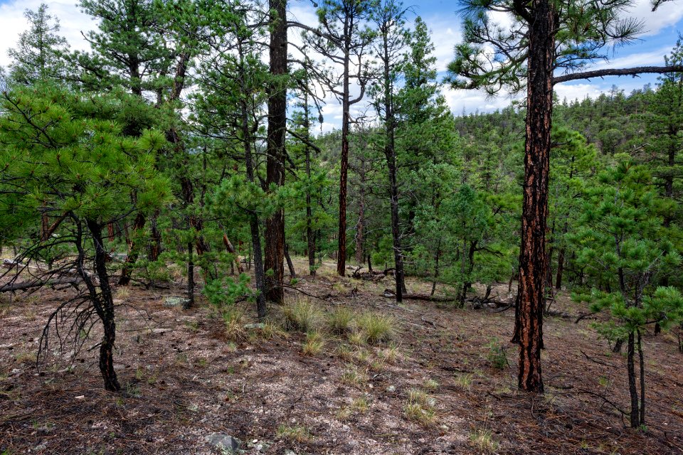 Continental Divide Trail