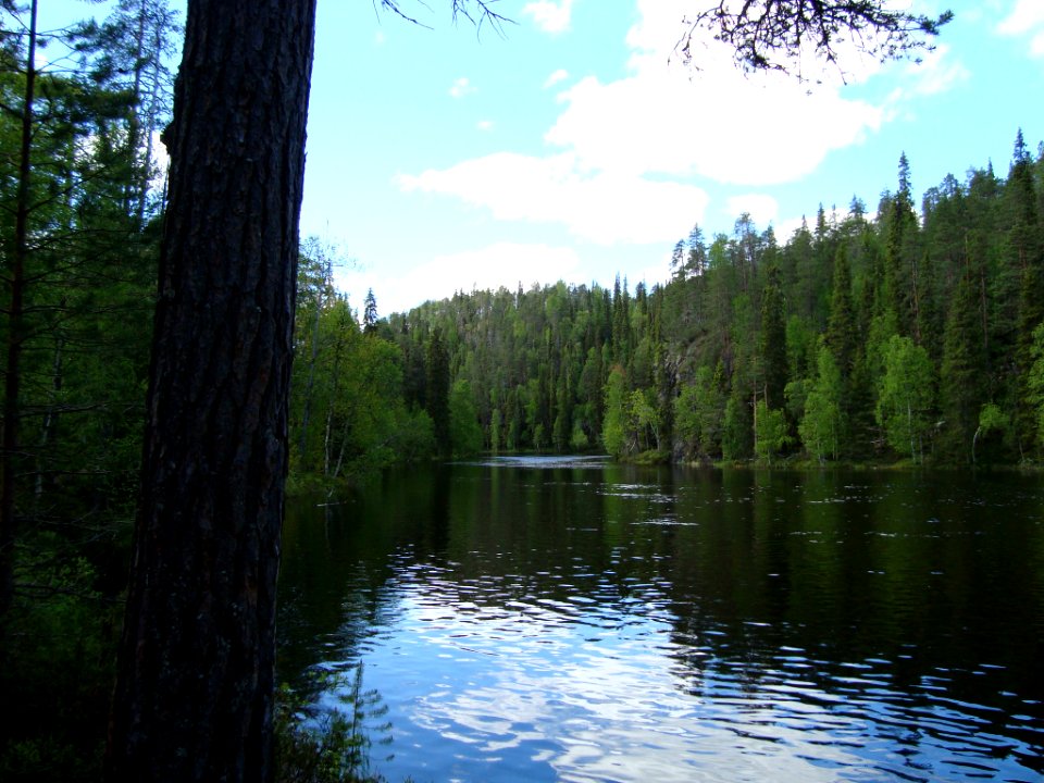 DSC05095