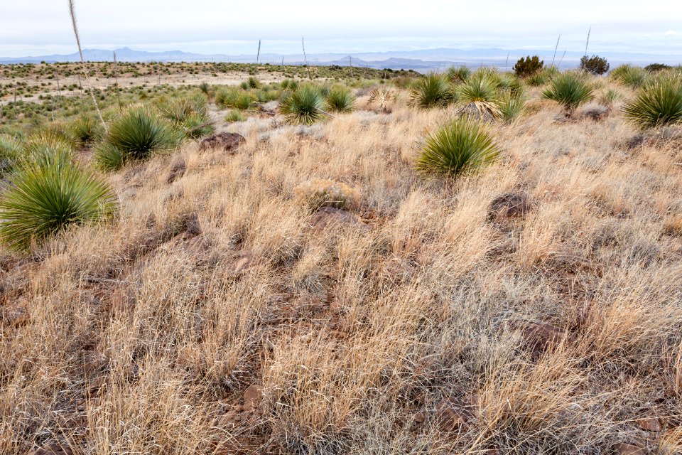 Western Sierra de las Uvas