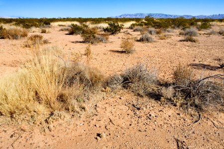 T or C Landfill
