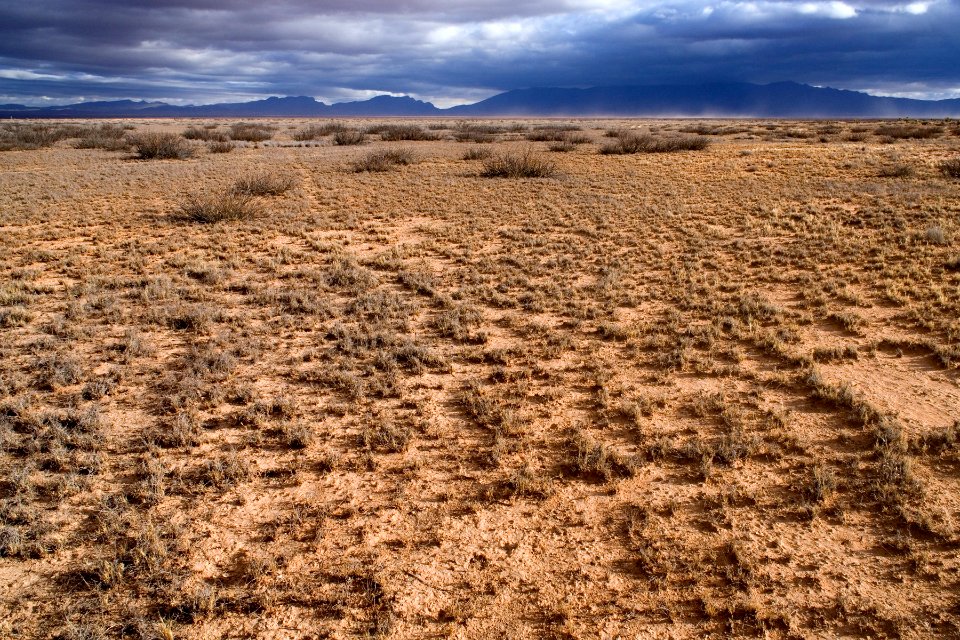 Southern Jornada del Muerto Plain