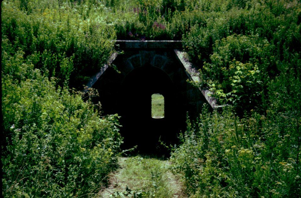 A tunnel under the railway
