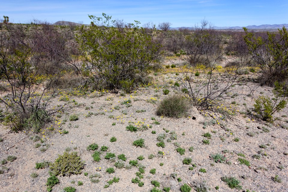 Northeast of Caprock Mountain