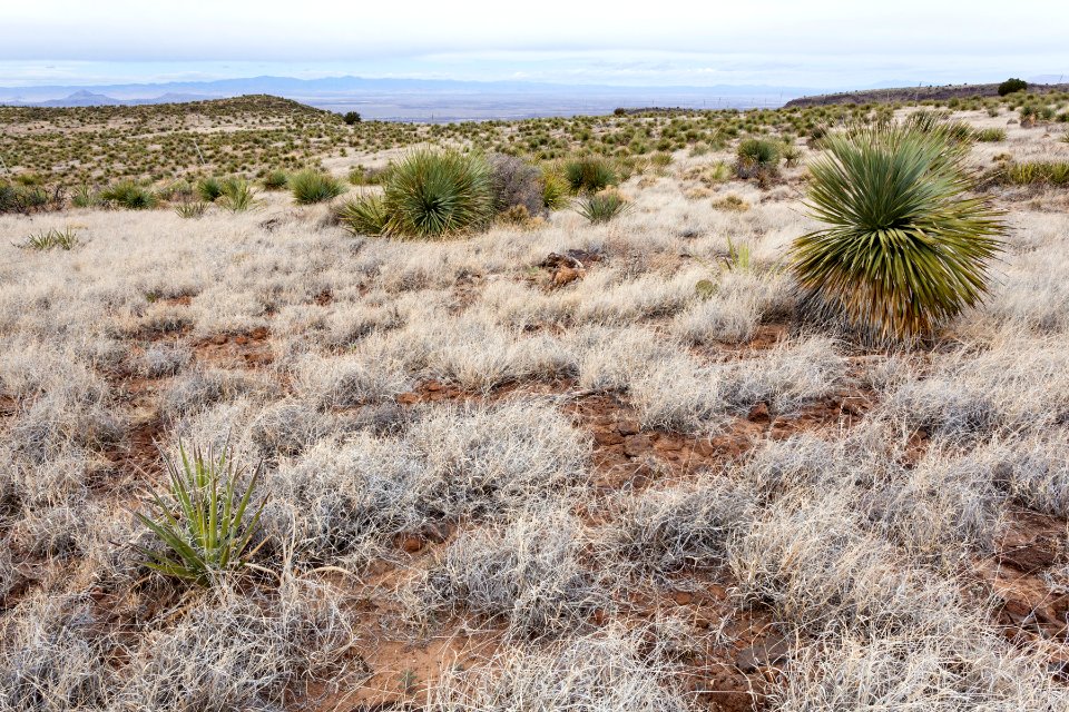 Western Sierra de las Uvas