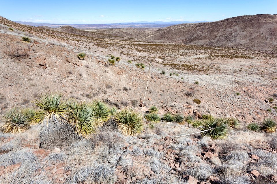 Sierra de las Uvas