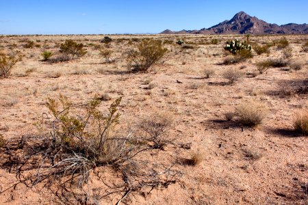 North side of NM Hwy. 80 on the west side of the Peloncillo Mountains