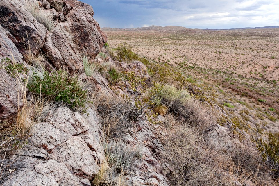 Near Arroyo del Tajo