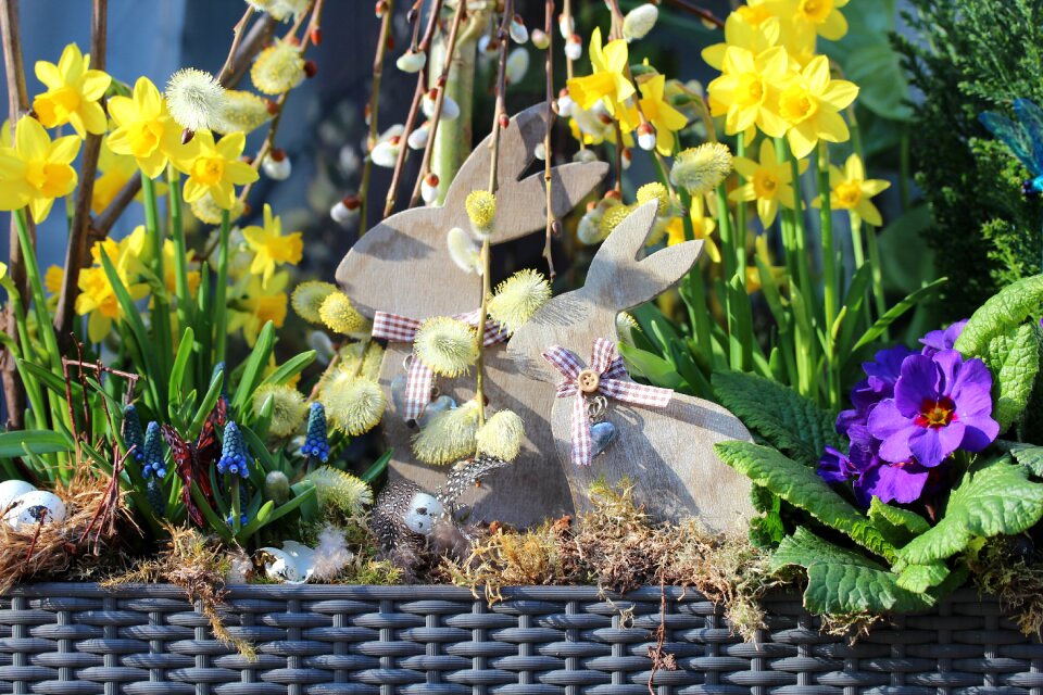 Yellow rabbit flower box