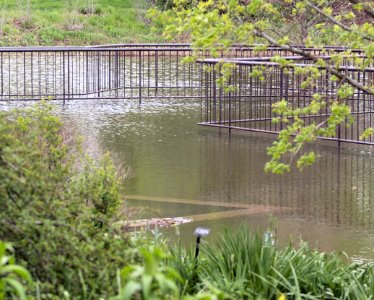 Flooded 4