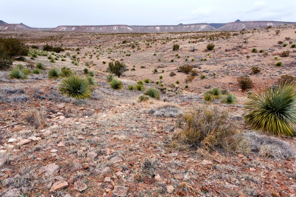 Southern Sierra de las Uvas