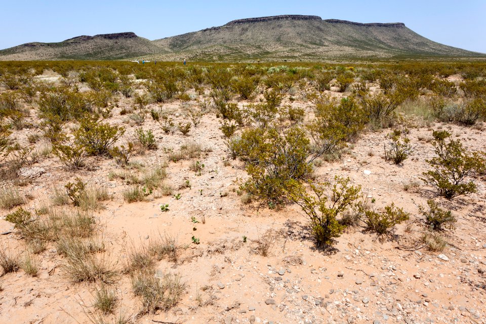 East of Alamo Mountain