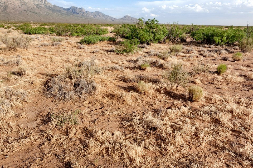 Near Baylor Canyon Road