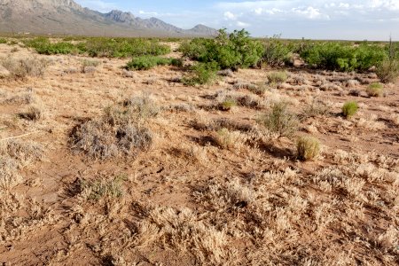Near Baylor Canyon Road