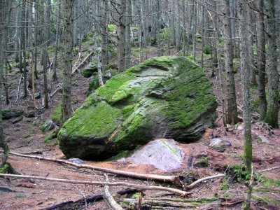 Large boulders along the Avalanche Lake Trail