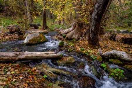 Fossil Springs (November 12, 2017)