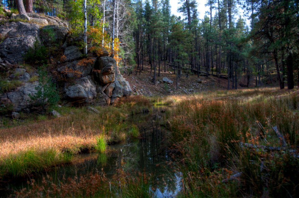Fred Haught Trail #141