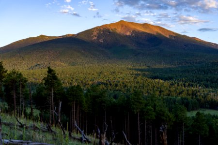 Humphreys Peak, San Francisco Peaks photo