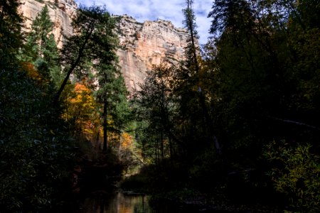 West Fork of Oak Creek Canyon No. 108 photo