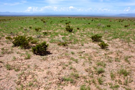 Northwestern bajada of the San Andres Mountains