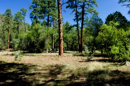 Pueblo Canyon