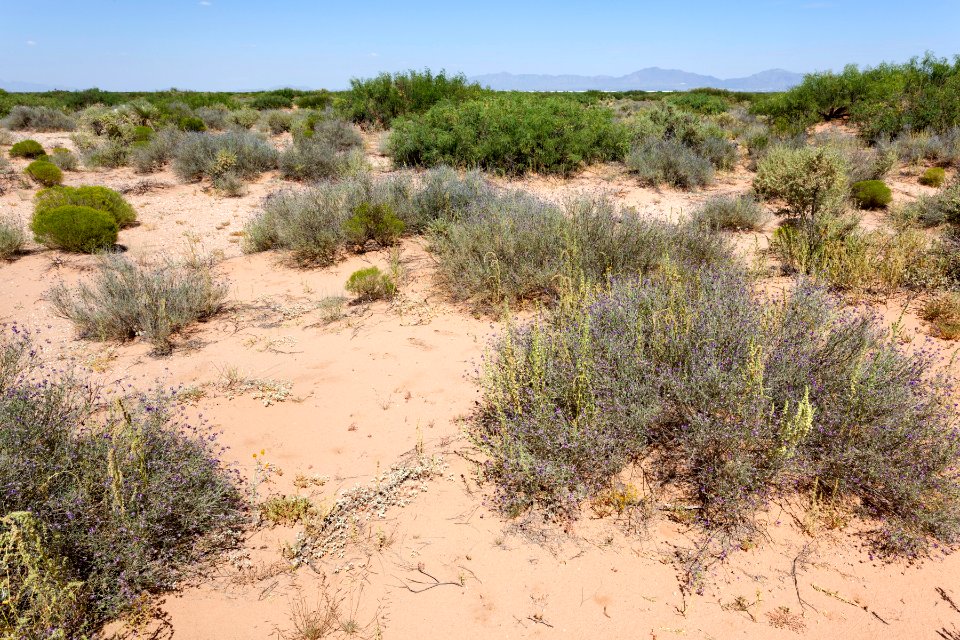 Southwest of the Santa Teresa Airport