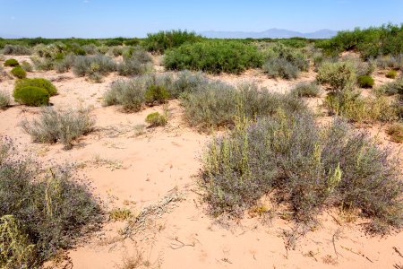 Southwest of the Santa Teresa Airport