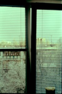 Window