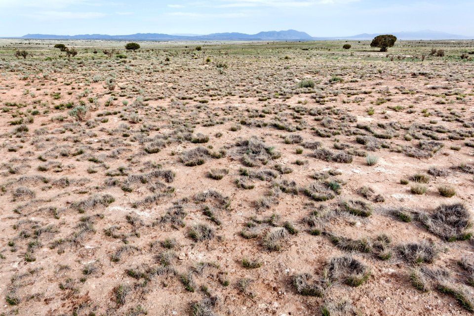 Northeast of Cat Head Mesa