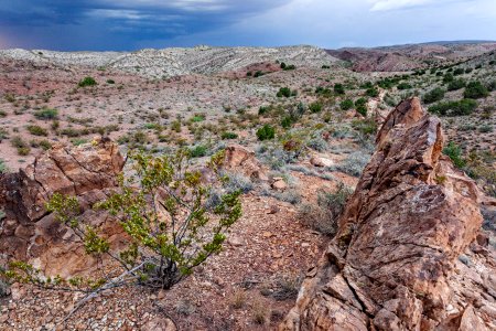 Near Arroyo del Tajo