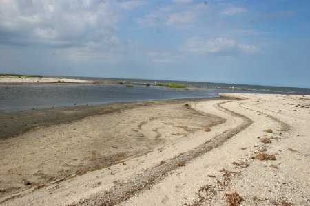 Beach at Prime Hook NWR