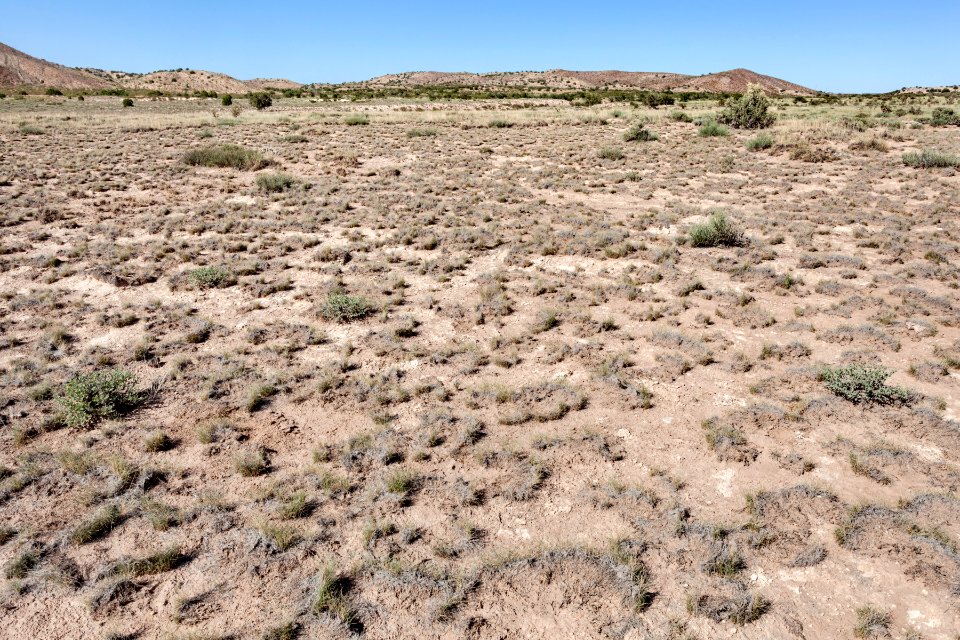 Near Arroyo de las Cañas