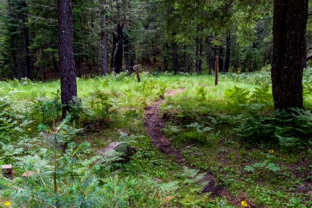 Barbershop Trail
