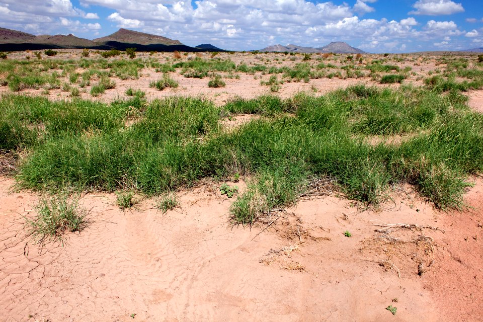 South bajada of Cookes Range