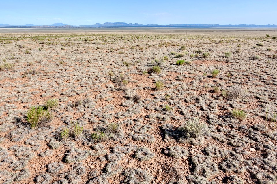 Near Kellog Canyon