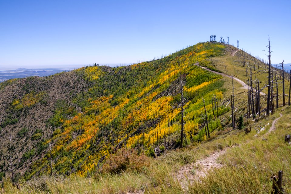 Sunset Trail No. 23, Mount Elden