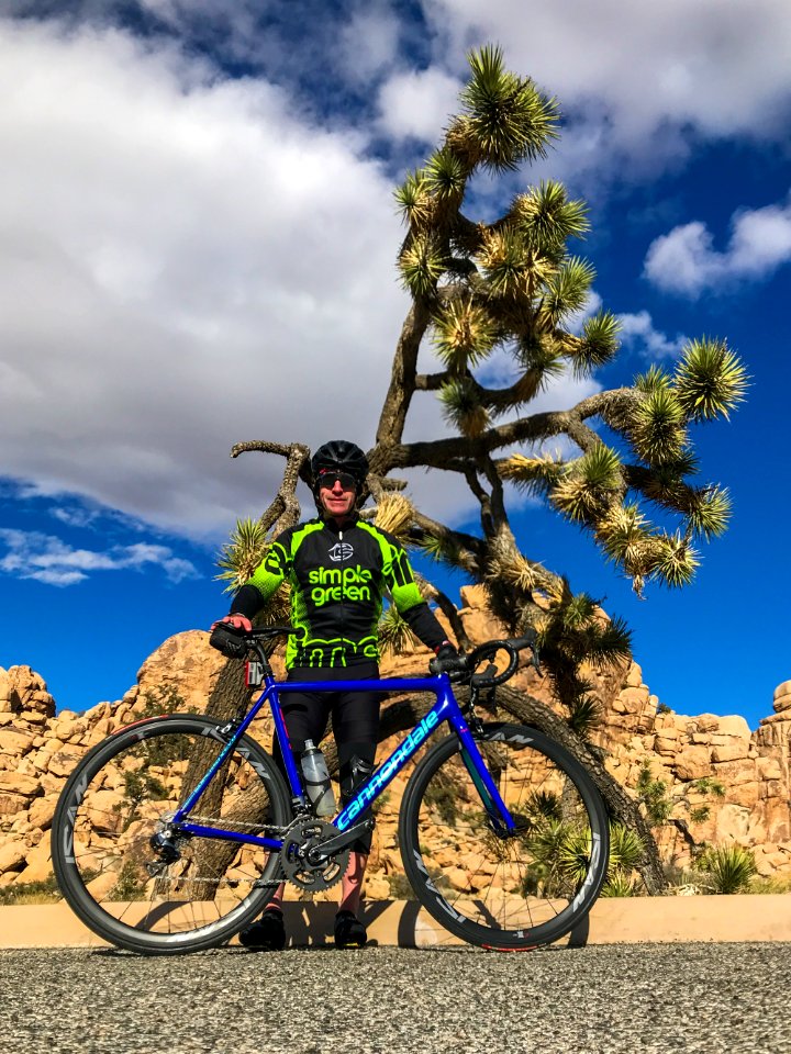 Joshua Tree-3