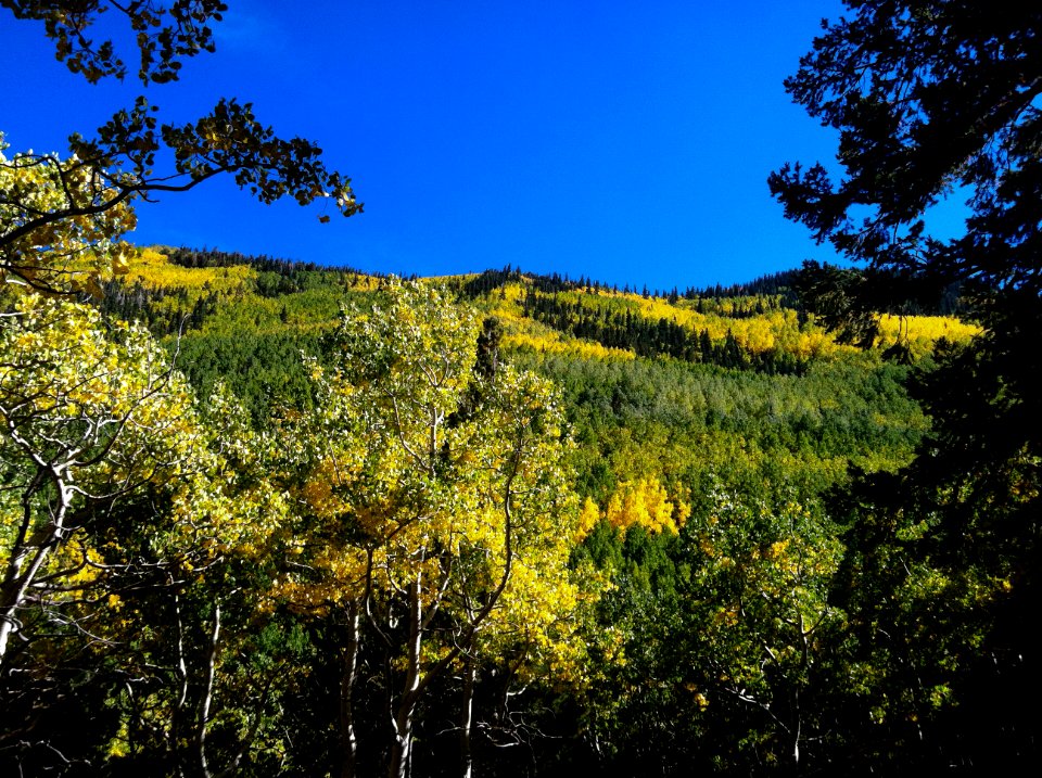 Inner Basin Trail No. 20