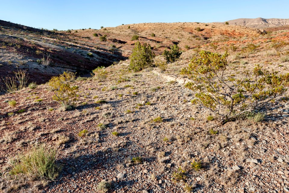 Near Quebradas Backcountry Byway