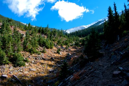 Abineau Trail