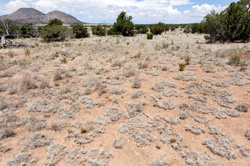 East-southeast of Tres Montosas