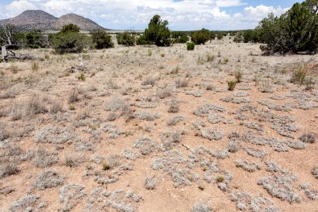 East-southeast of Tres Montosas