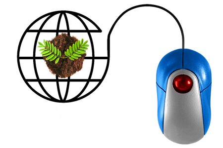 Electrical equipment no people seedling