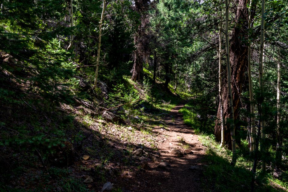 Weatherford Trail
